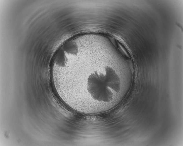 X0000102490439200808291653