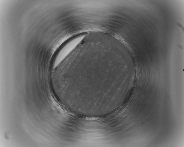 X0000102490440200808291653