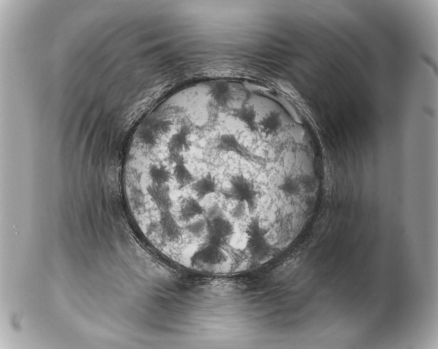 X0000102490441200808291653