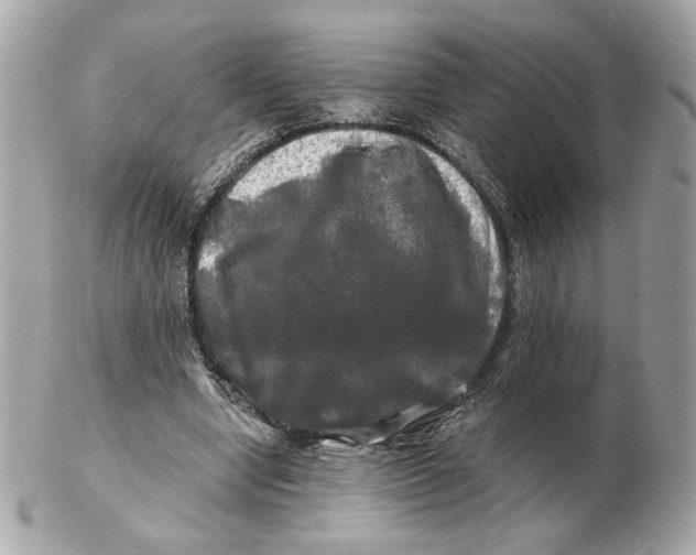 X0000102490442200808291653