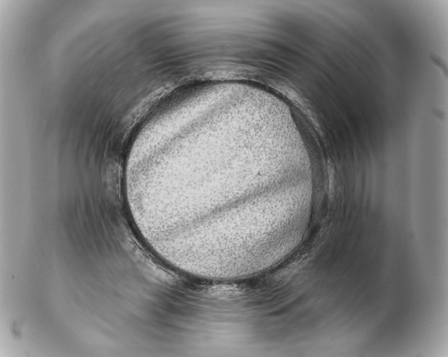 X0000102490445200808291653