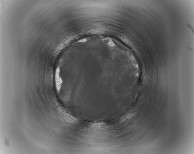 X0000102490446200808291653