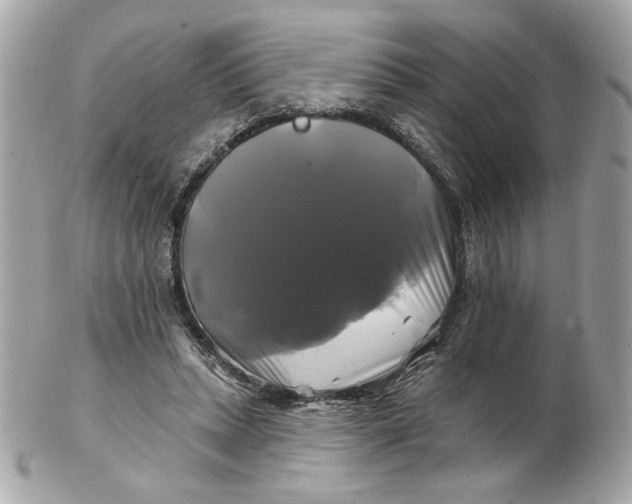 X0000102490447200808291653