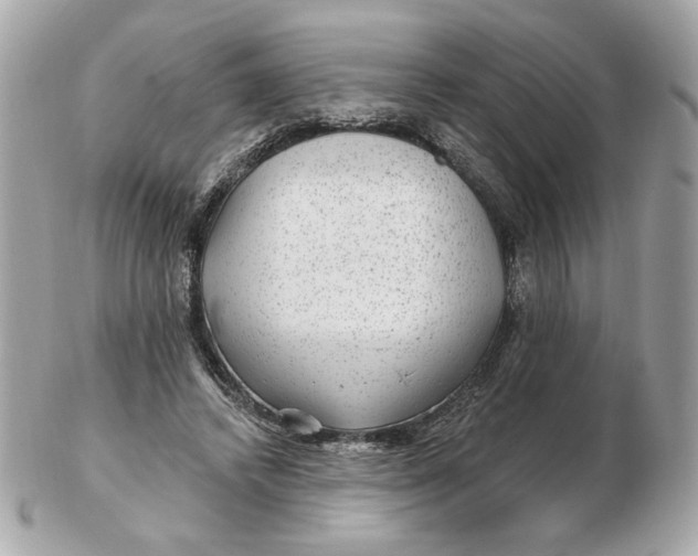 X0000102490448200808291653