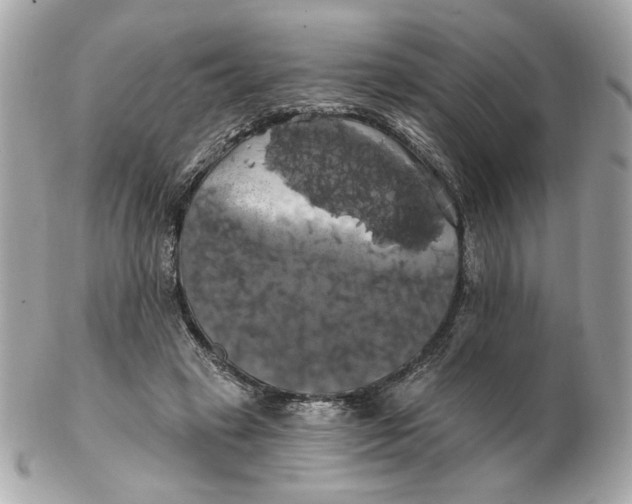 X0000102490449200808291653