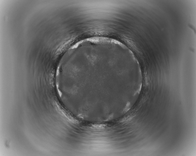 X0000102490450200808291653