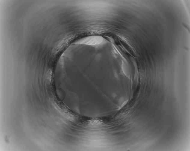 X0000102490451200808291653