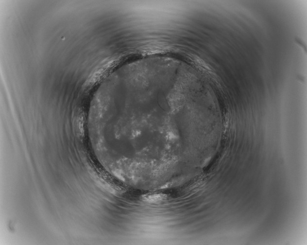 X0000102490452200808291653