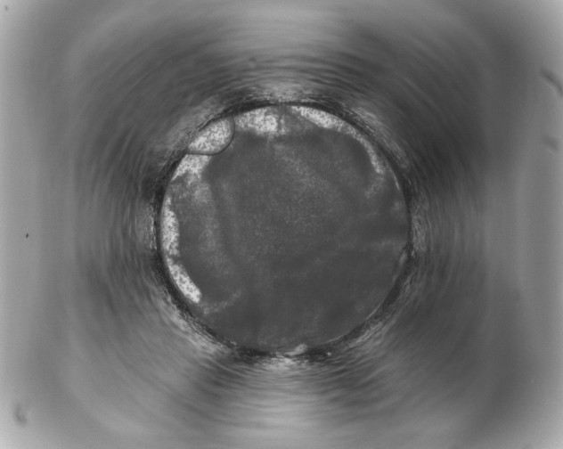 X0000102490453200808291653