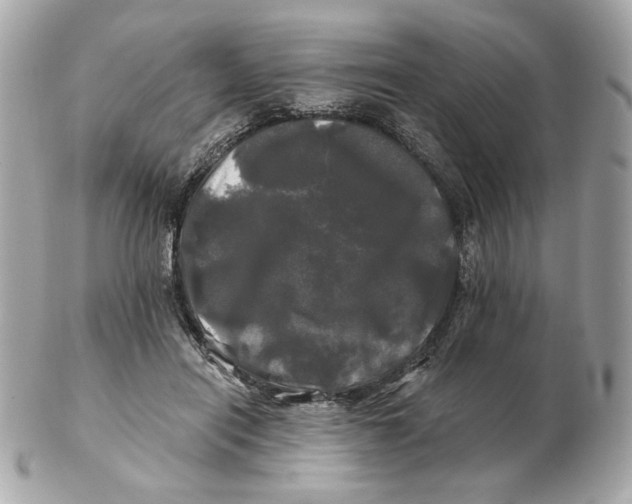 X0000102490454200808291653