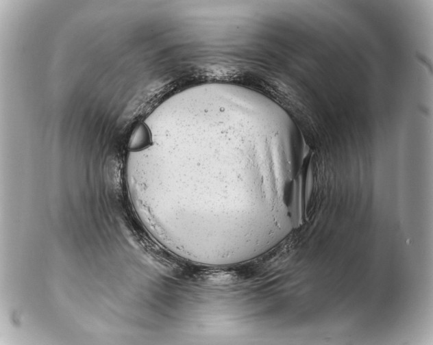 X0000102490456200808291653