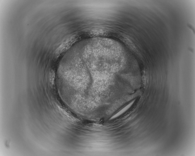 X0000102490458200808291653