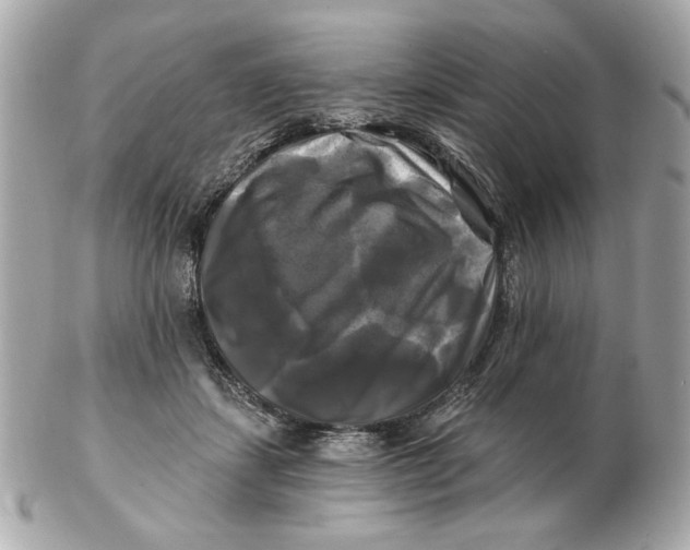 X0000102490459200808291653