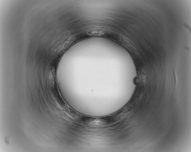 X0000102490460200808291653