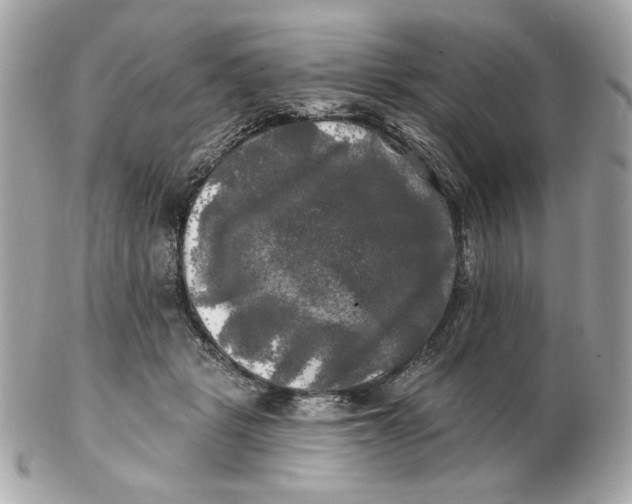 X0000102490461200808291653