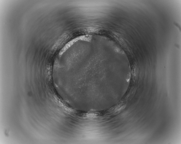 X0000102490462200808291653