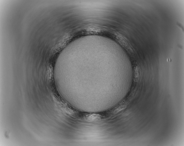 X0000102490463200808291653