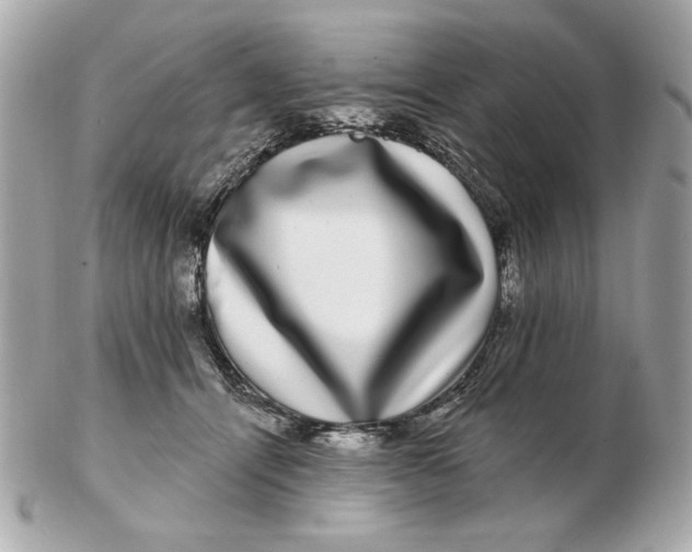 X0000102490464200808291653