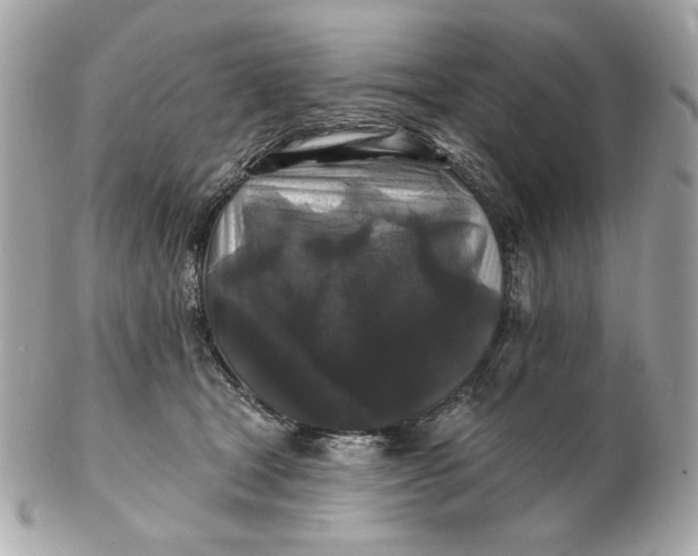 X0000102490465200808291653