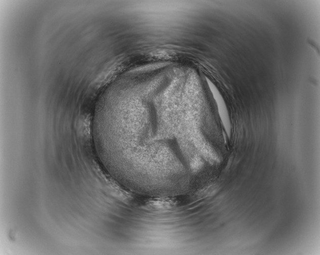 X0000102490466200808291653