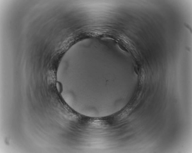 X0000102490467200808291653