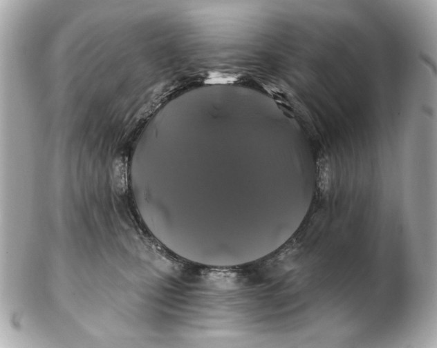 X0000102490471200808291653