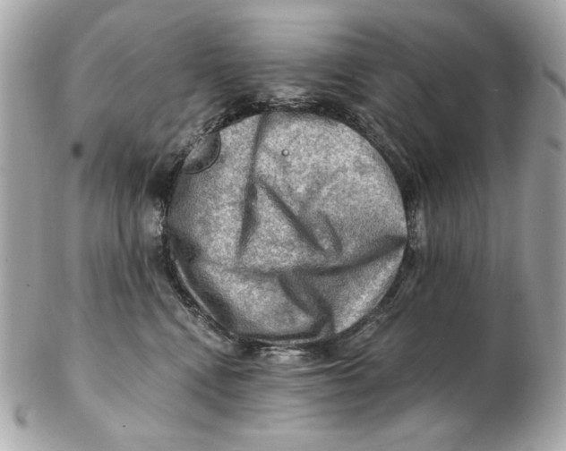 X0000102490472200808291653