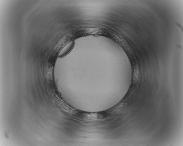 X0000102490473200808291653