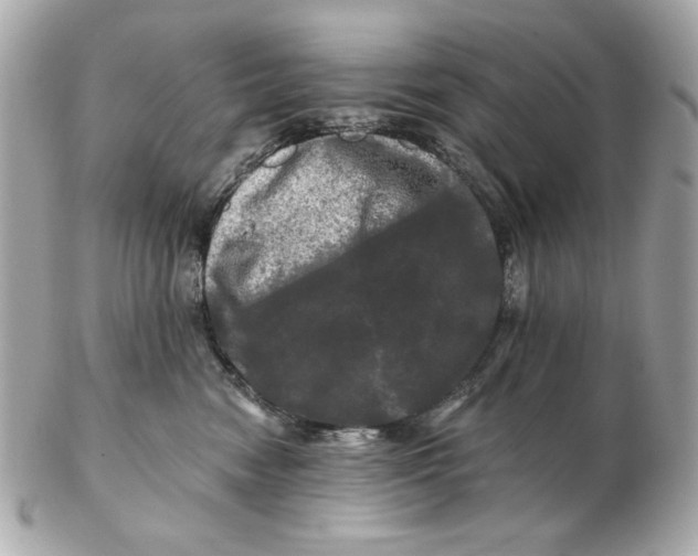 X0000102490474200808291653