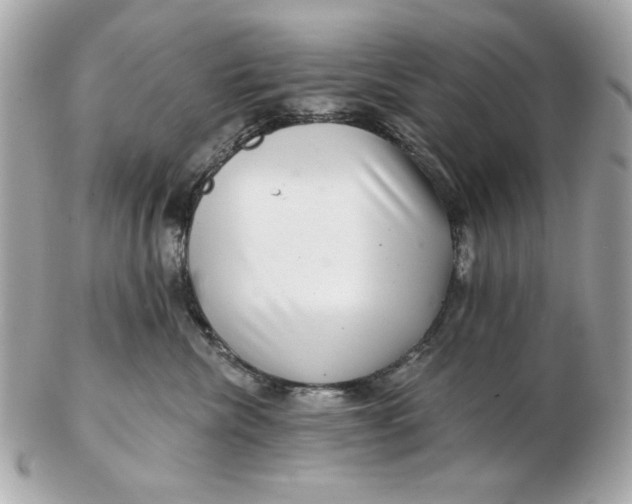 X0000102490476200808291653