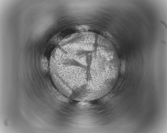 X0000102490477200808291653