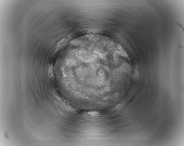 X0000102490478200808291653