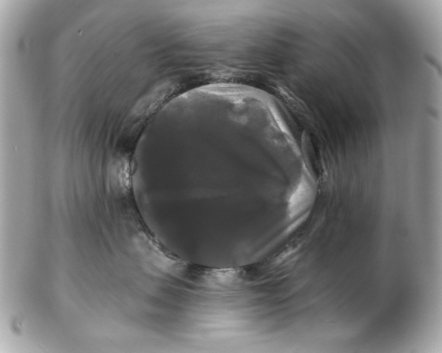 X0000102490479200808291653