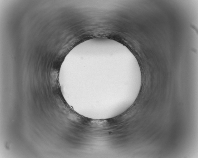 X0000102490480200808291653