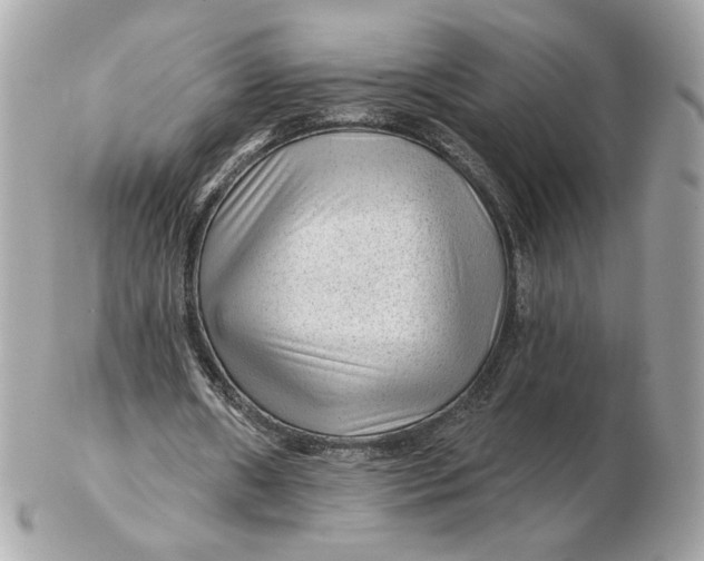 X0000102490482200808291653