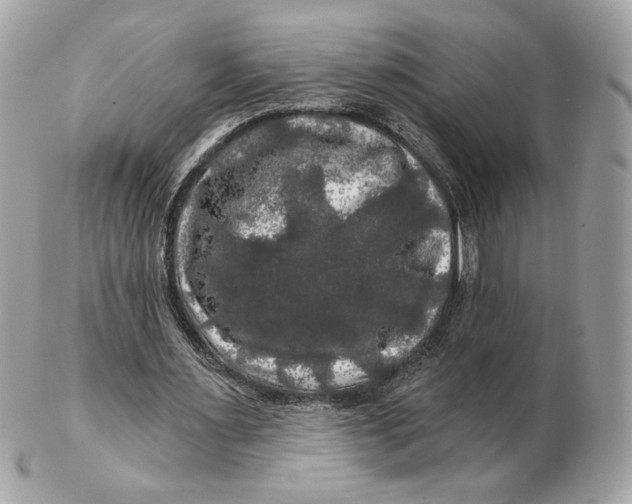 X0000102490483200808291653