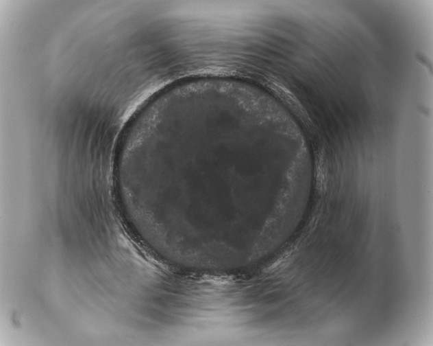 X0000102490484200808291653