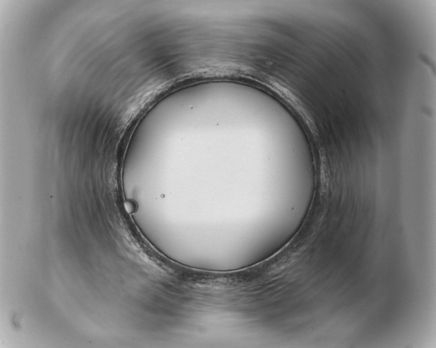 X0000102490485200808291653