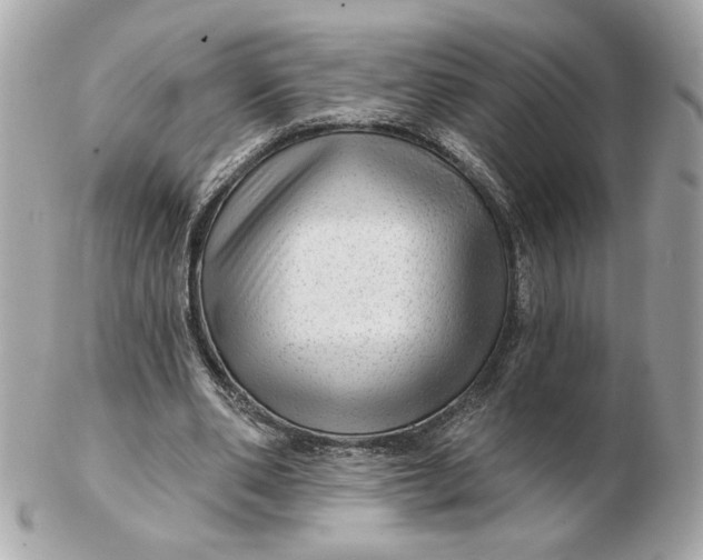 X0000102490486200808291653