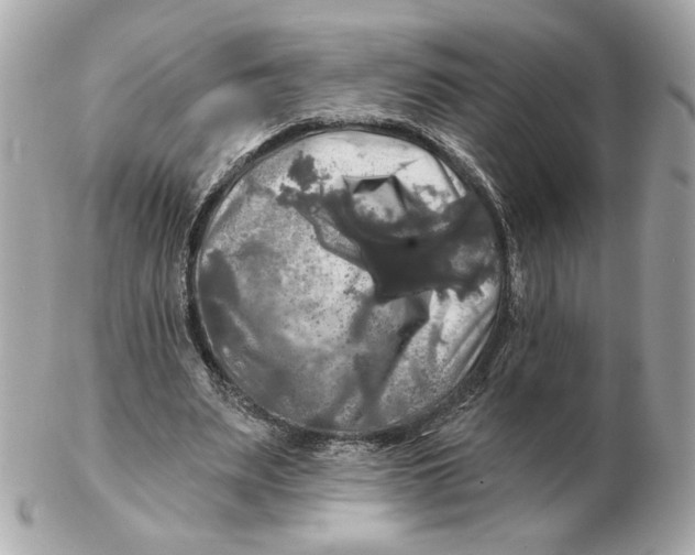 X0000102490487200808291652