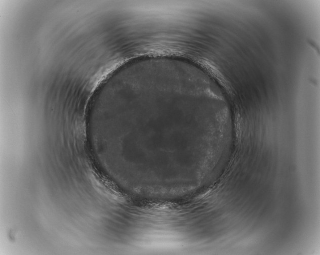 X0000102490488200808291652