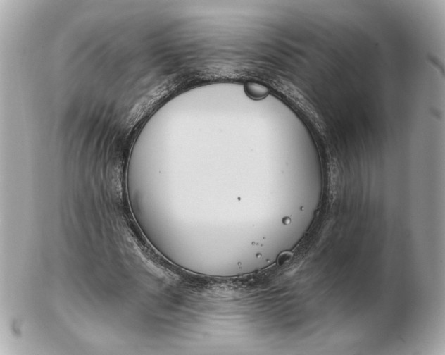 X0000102490489200808291652