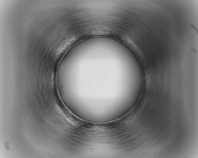 X0000102490490200808291652