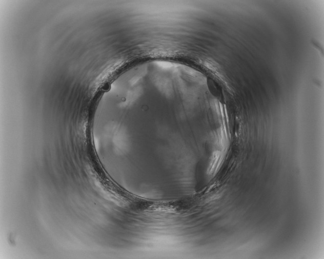 X0000102490491200808291652