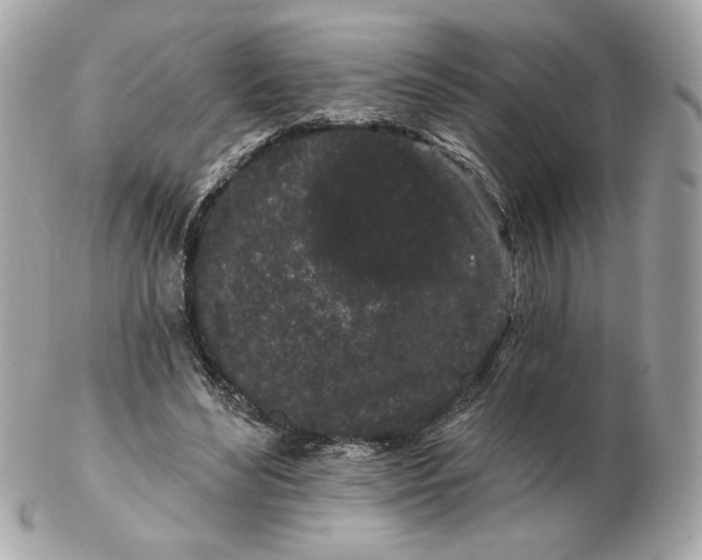 X0000102490492200808291652