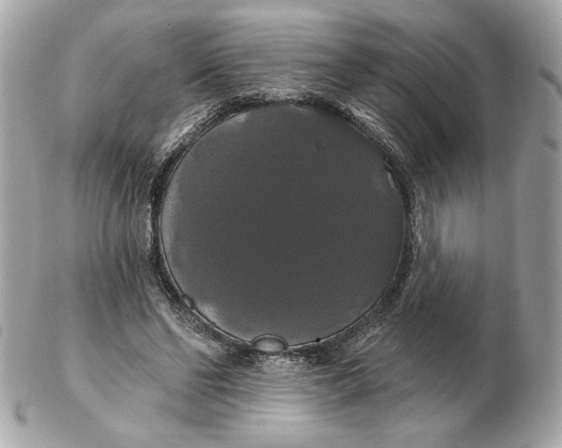 X0000102490494200808291652