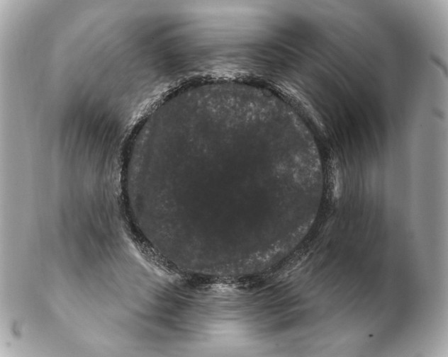 X0000102490496200808291652