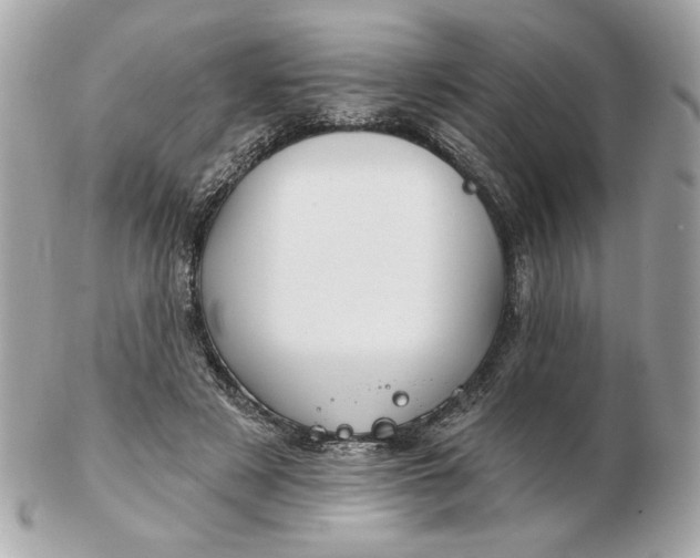 X0000102490497200808291652