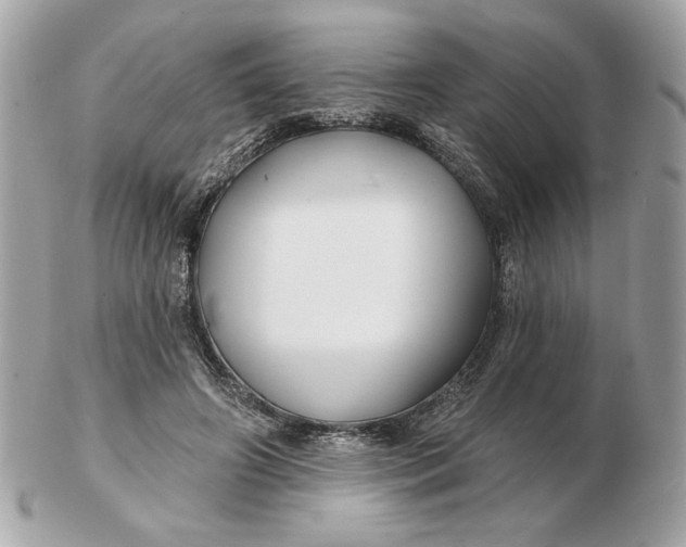 X0000102490498200808291652