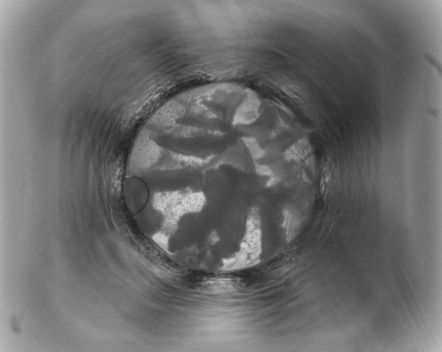 X0000102490499200808291652